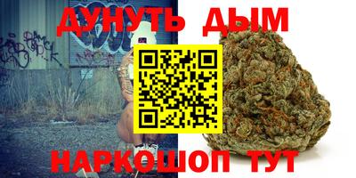 шишки Усть-Илимск