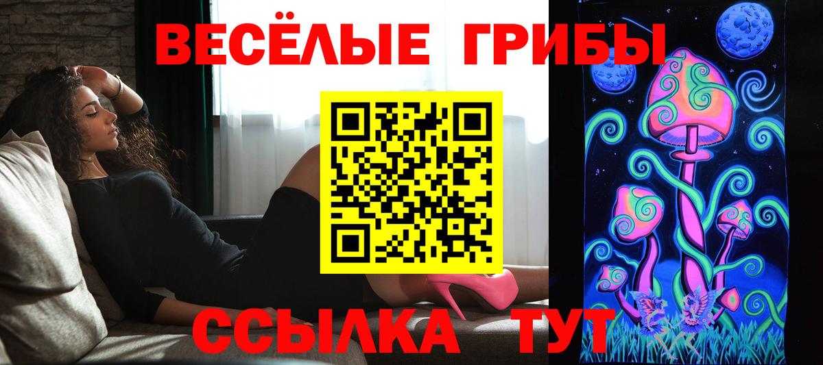 Галлюциногенные грибы Cubensis Усть-Кут