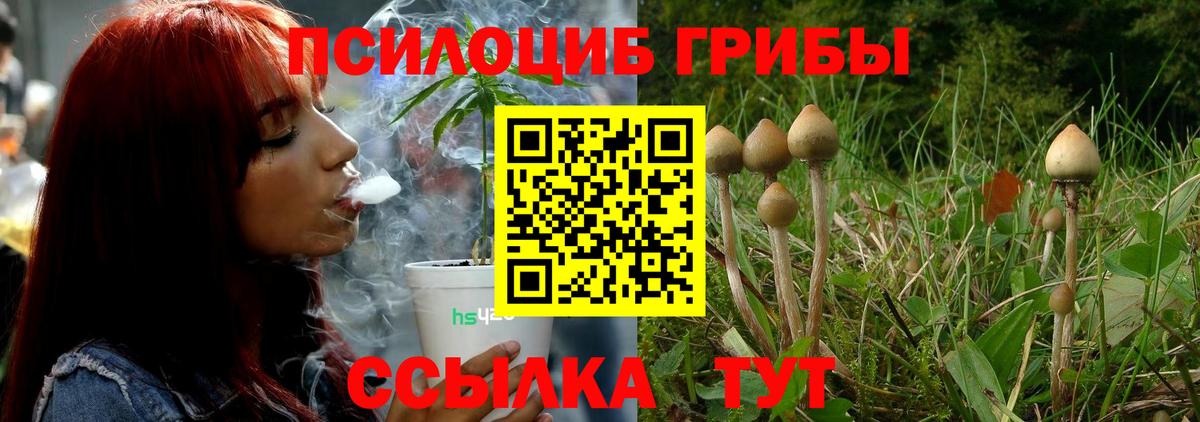 Галлюциногенные грибы GOLDEN TEACHER  Вход с VPN  Усть-Кут  Псилоцибиновые грибы Cubensis 